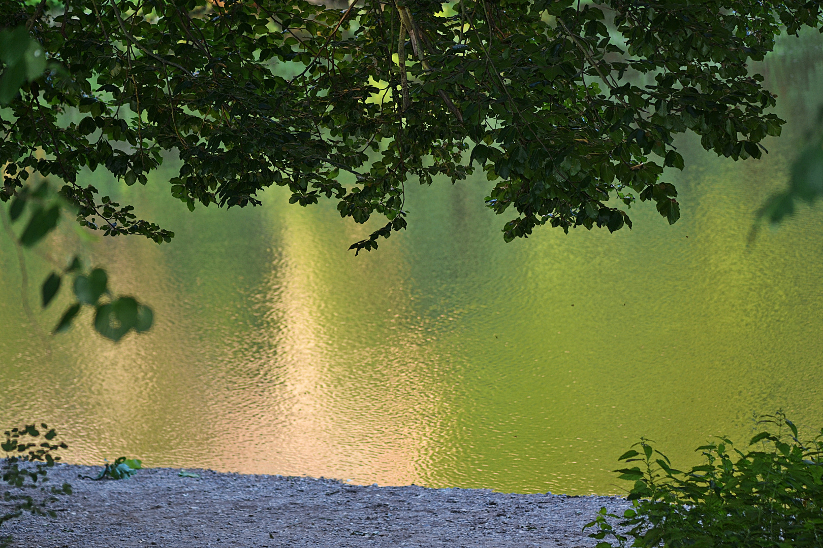 ~~~ Wasserfarben ~~~ 