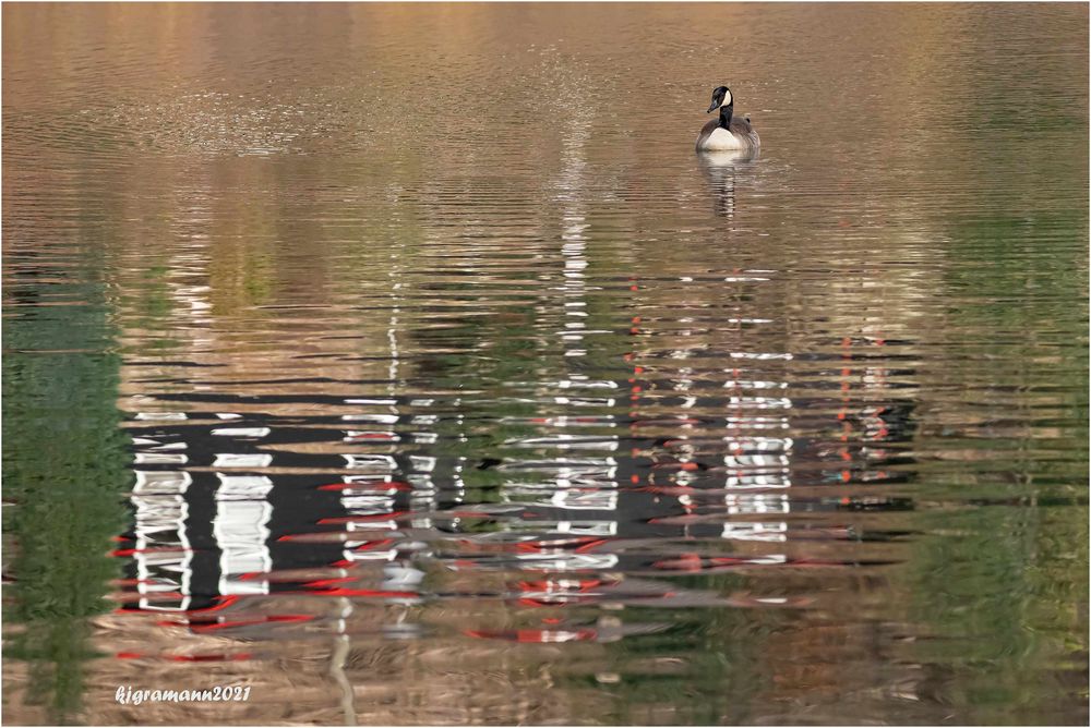 wasserfarben III .....