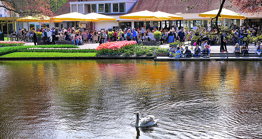 Wasserfarben im Keukenhof