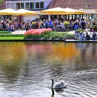 Wasserfarben im Keukenhof