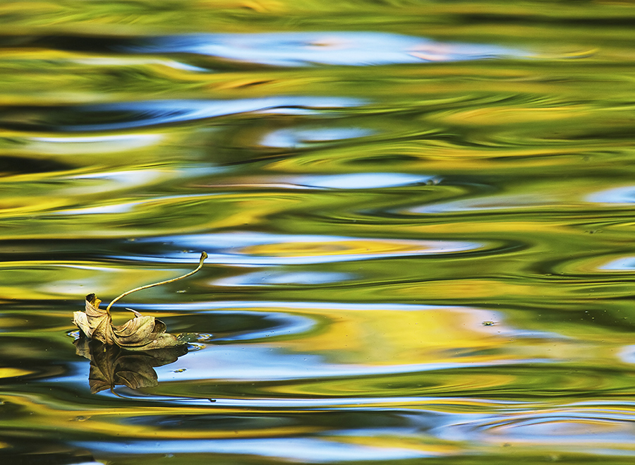 wasserfarben, oder ein einsames  herbstblatt.....