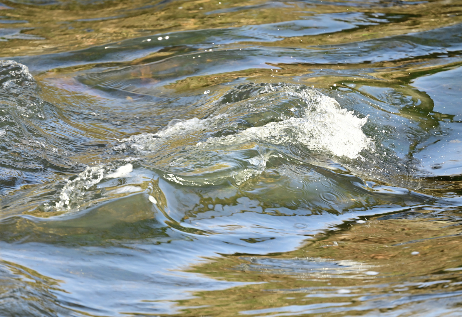 Wasserfarbenspiel