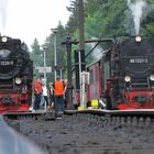 Wasserfassen in Drei Annen Hohe