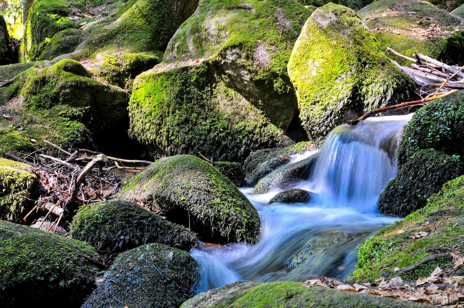 Wasserfelsen