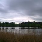 Wasserfläche Walkweiher am frühen Morgen