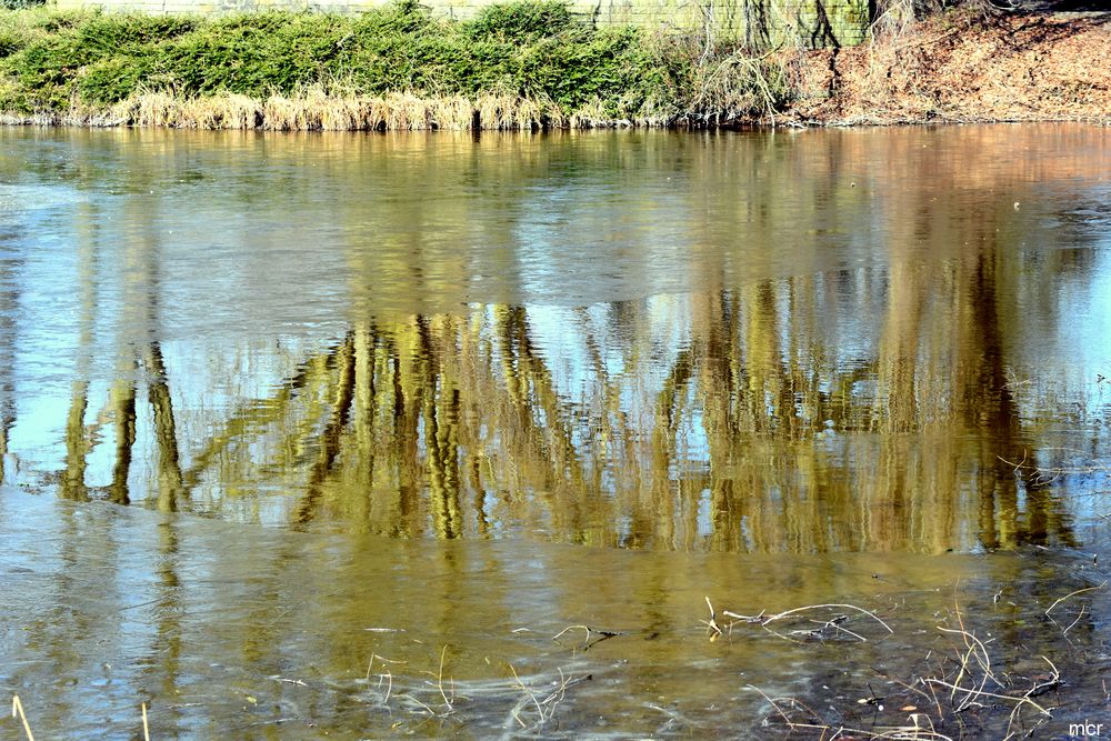 Wasserflächenspiegelung