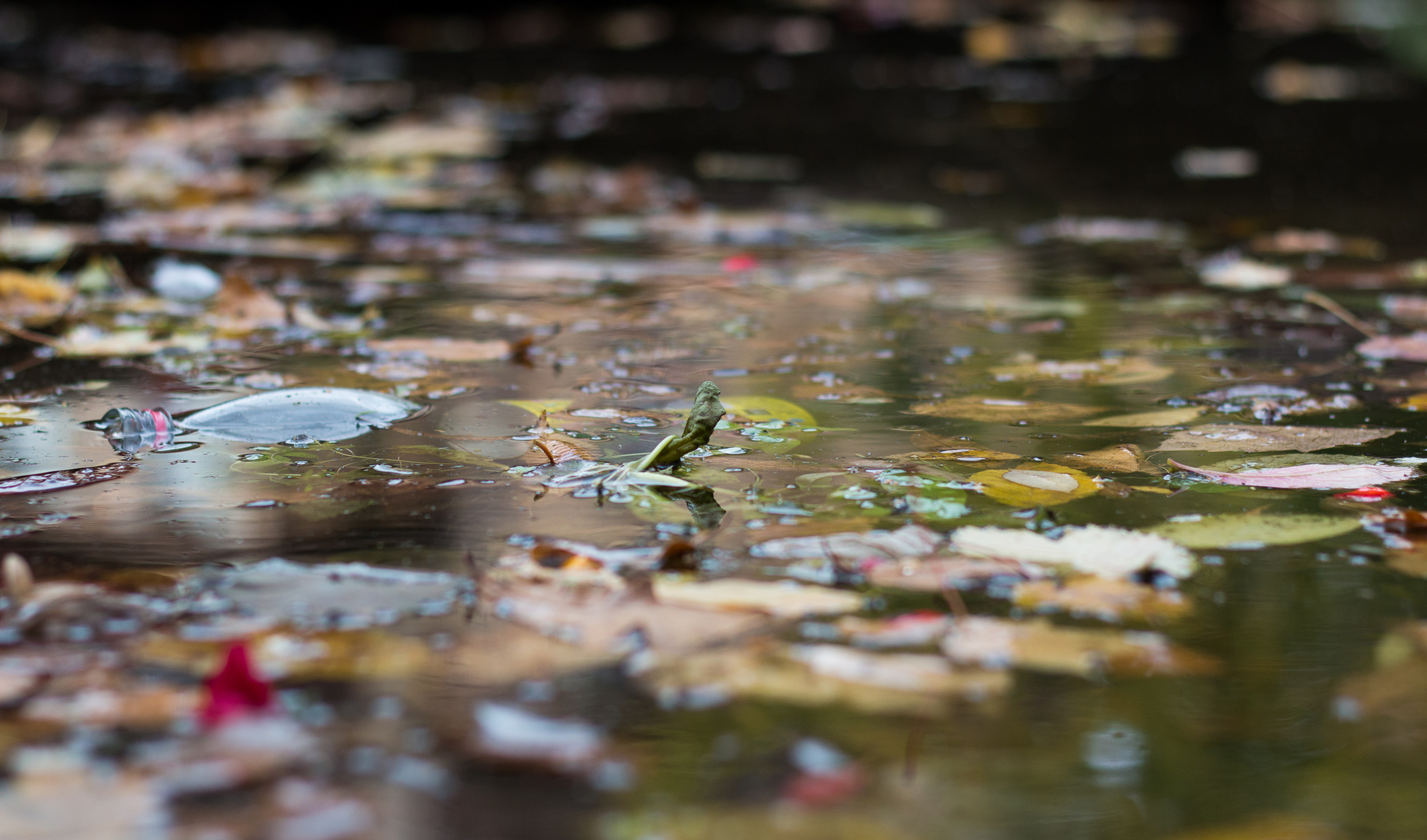 Wasserflasche mal anders