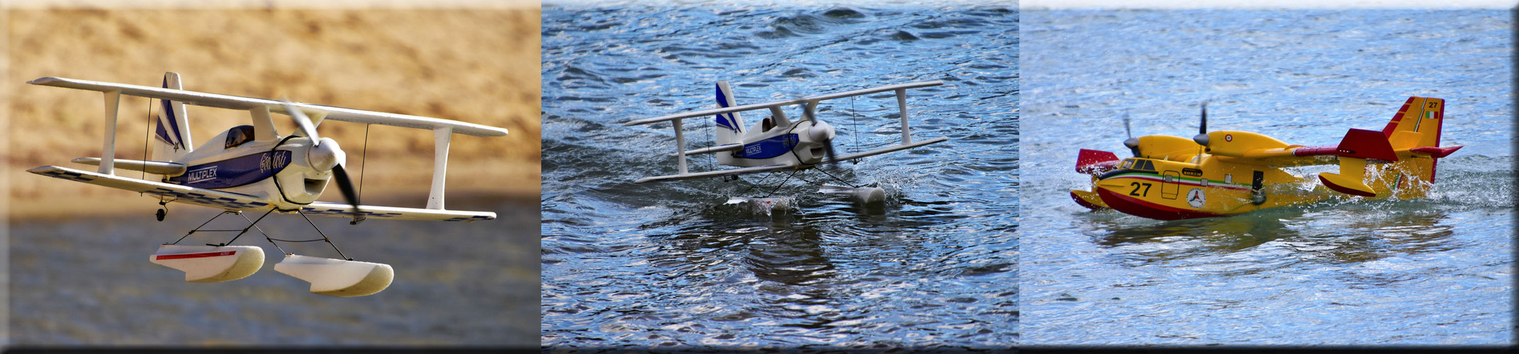 Wasserfliegen