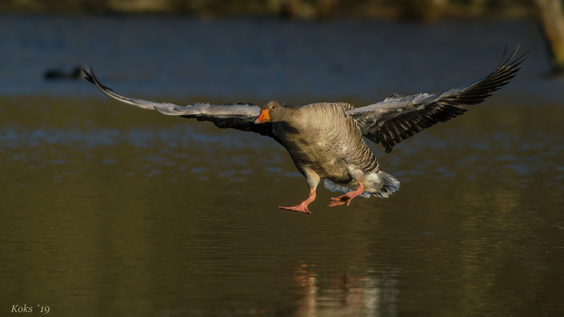 Wasserflugzeug