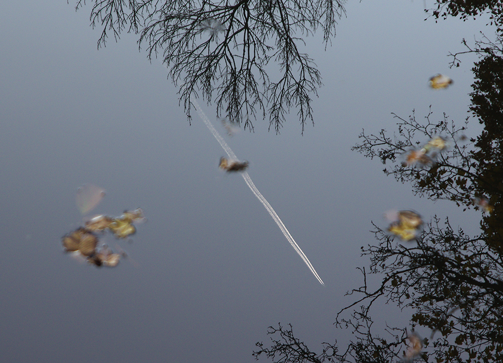 Wasserflugzeug