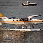 Wasserflugzeug der Harbour Air