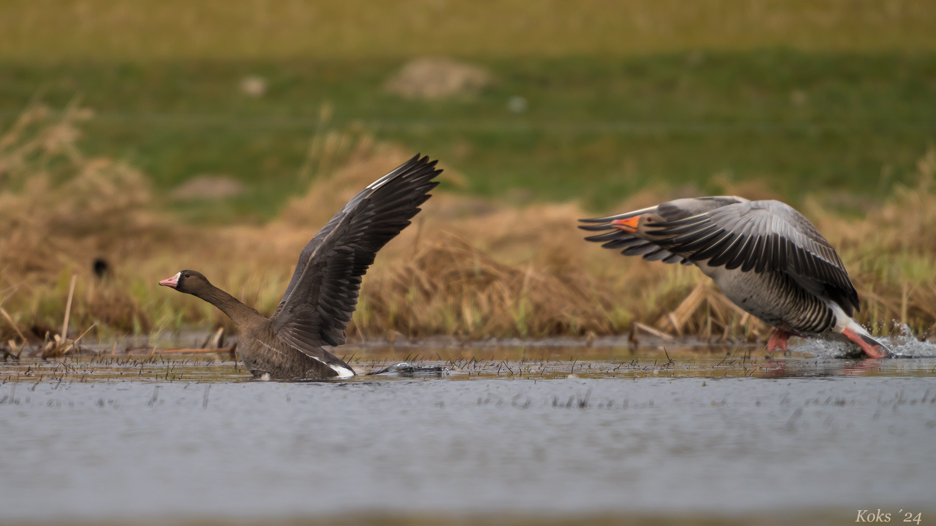 Wasserflugzeuge