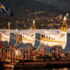 Wasserflugzeuge der Harbour Air