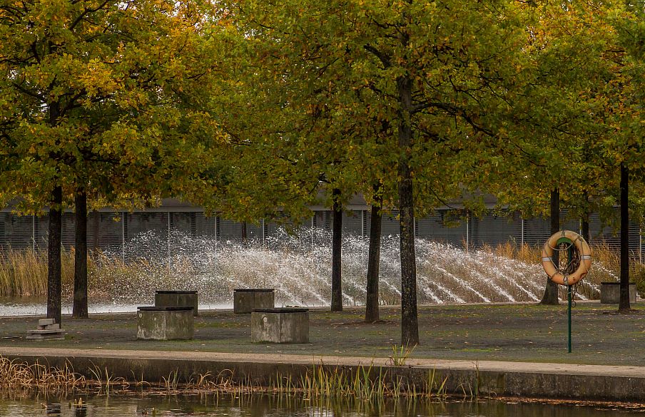 Wasserfontäne im Tierheim Aussenbereich