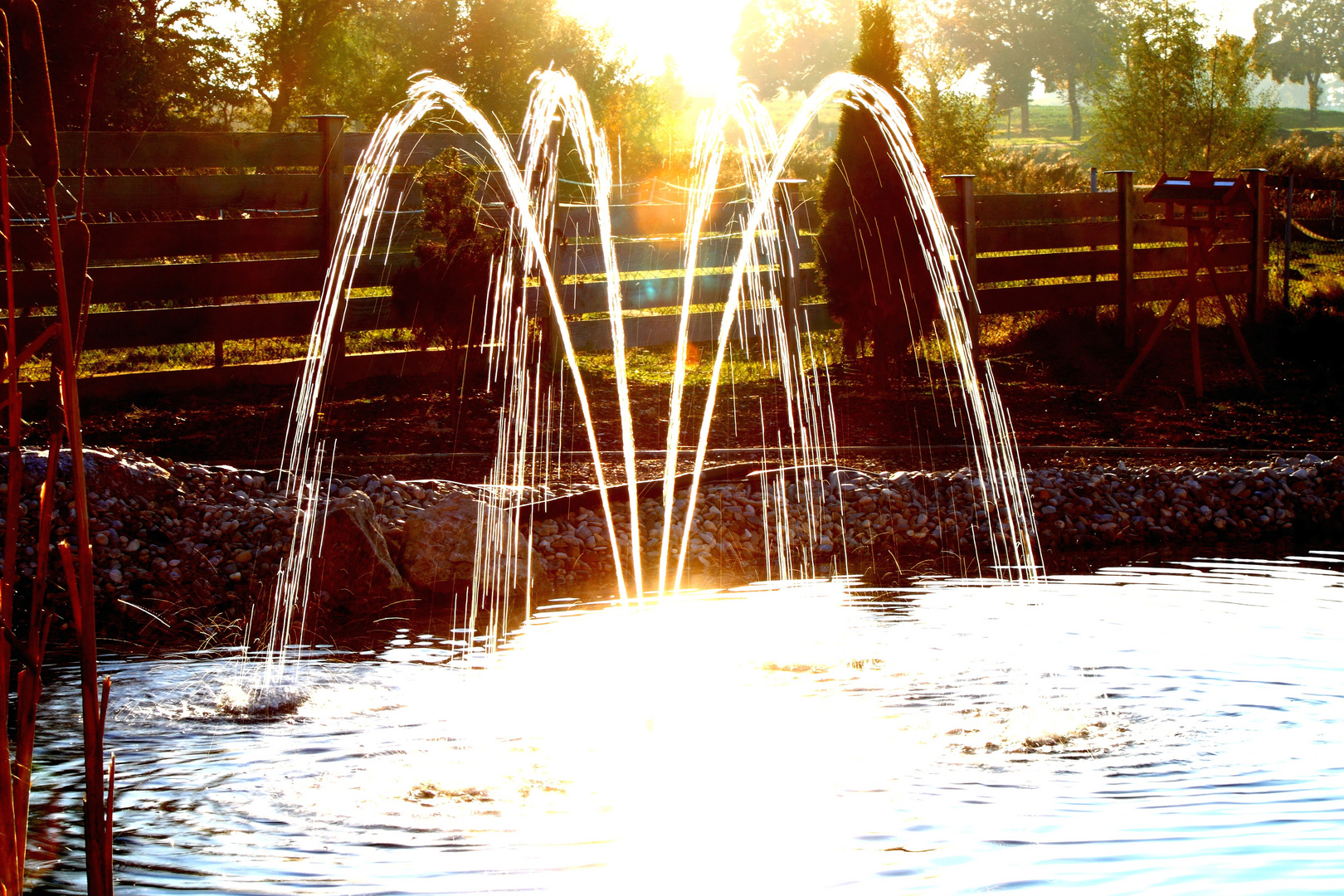 Wasserfontäne in der Sonne