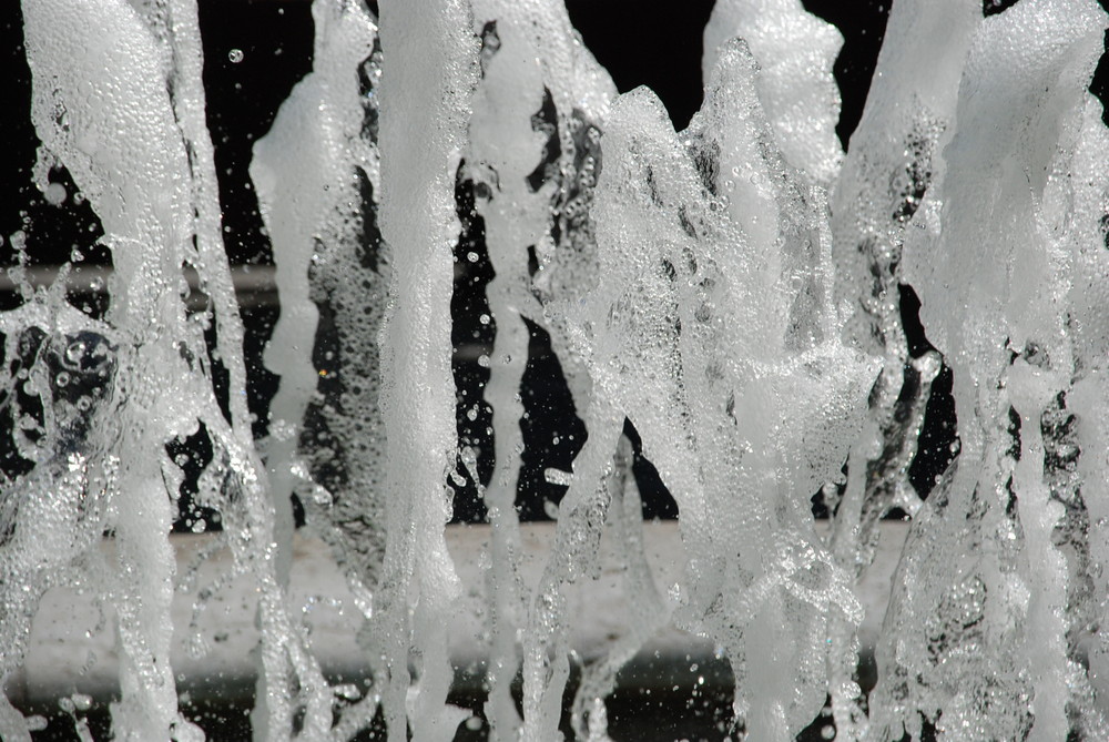 Wasserfontäne (Springbrunnen Botanischer Garten Augsburg)