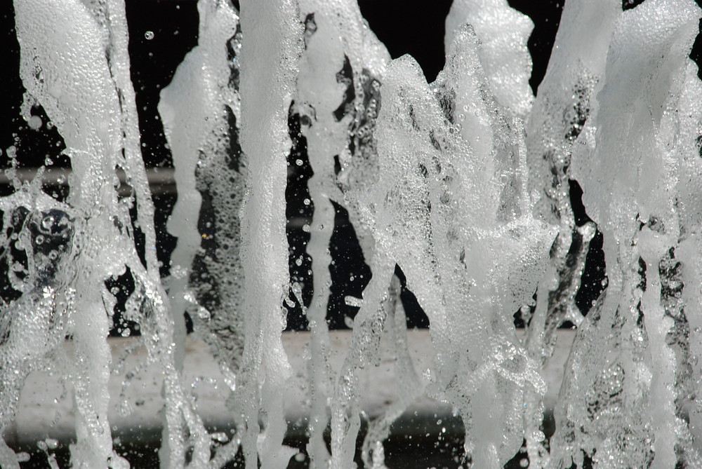 Wasserfontane Springbrunnen Botanischer Garten Augsburg Foto