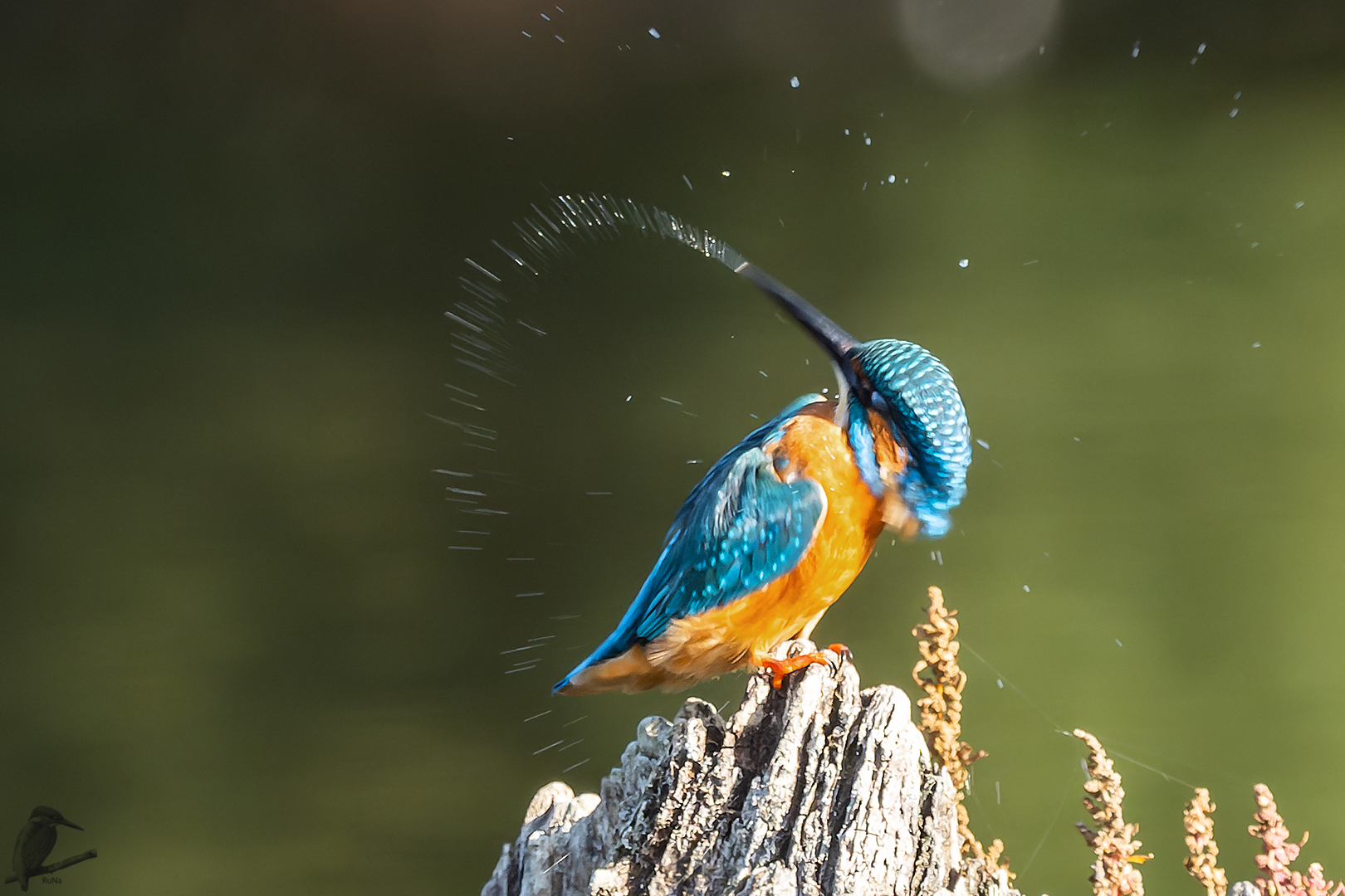 Wasserfontaine