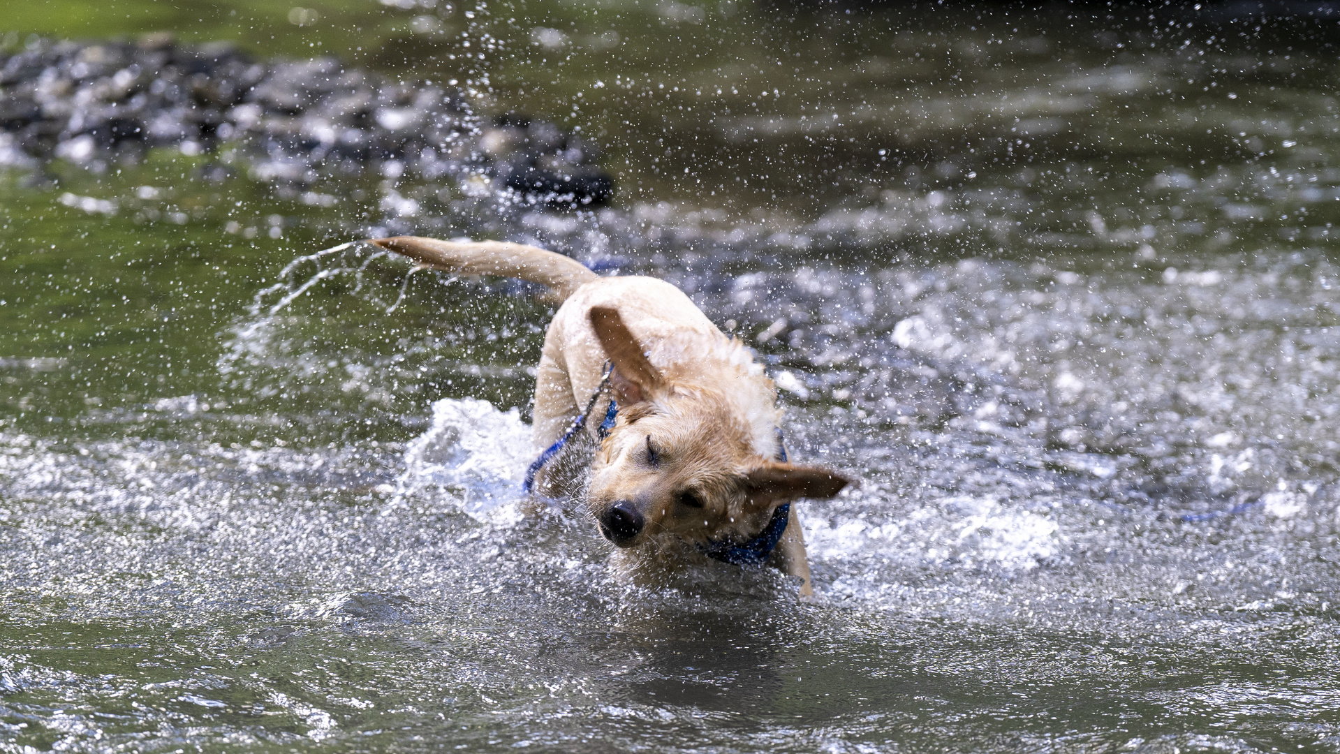 Wasser=Freude-2