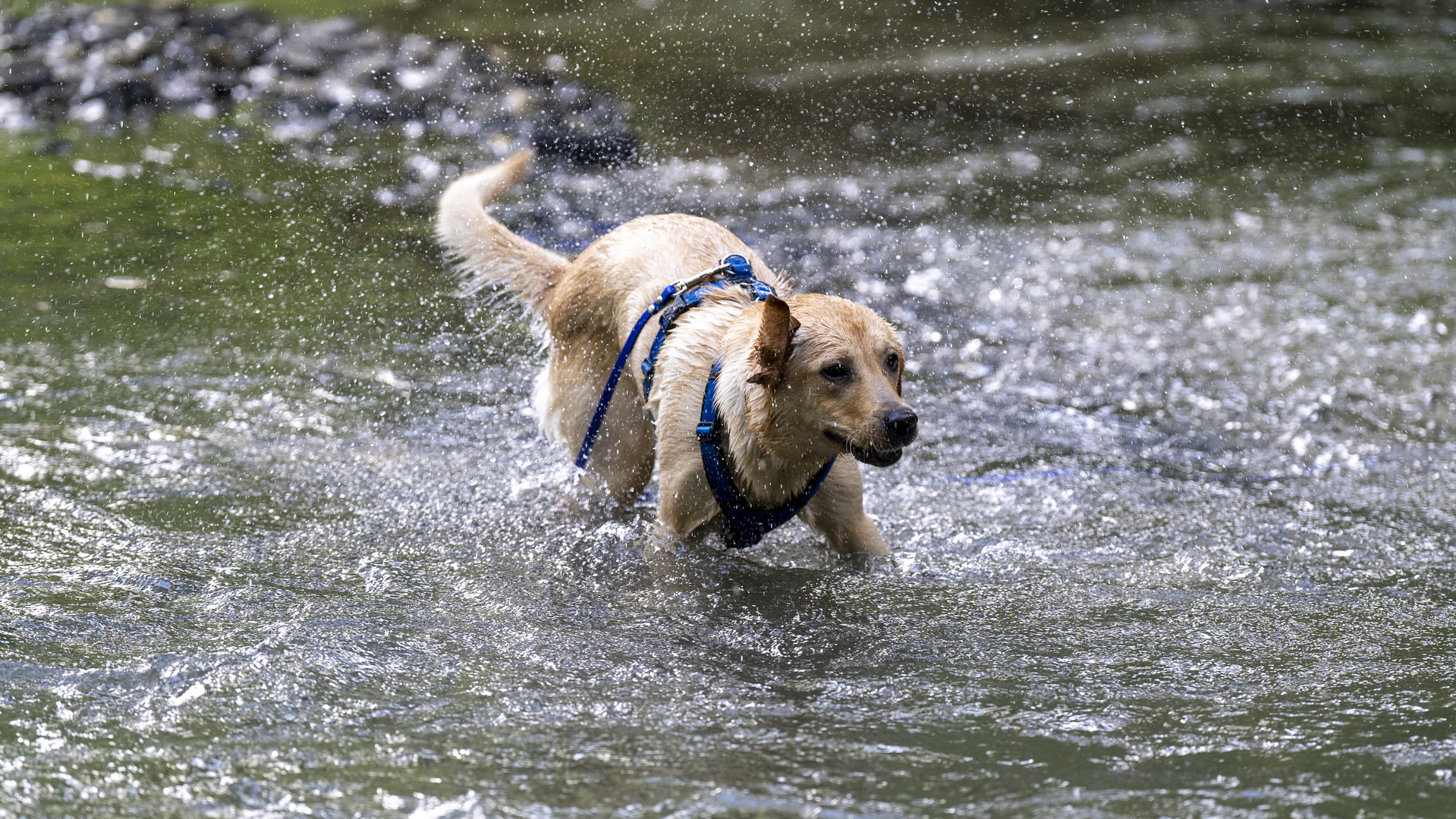 Wasser=Freude-3