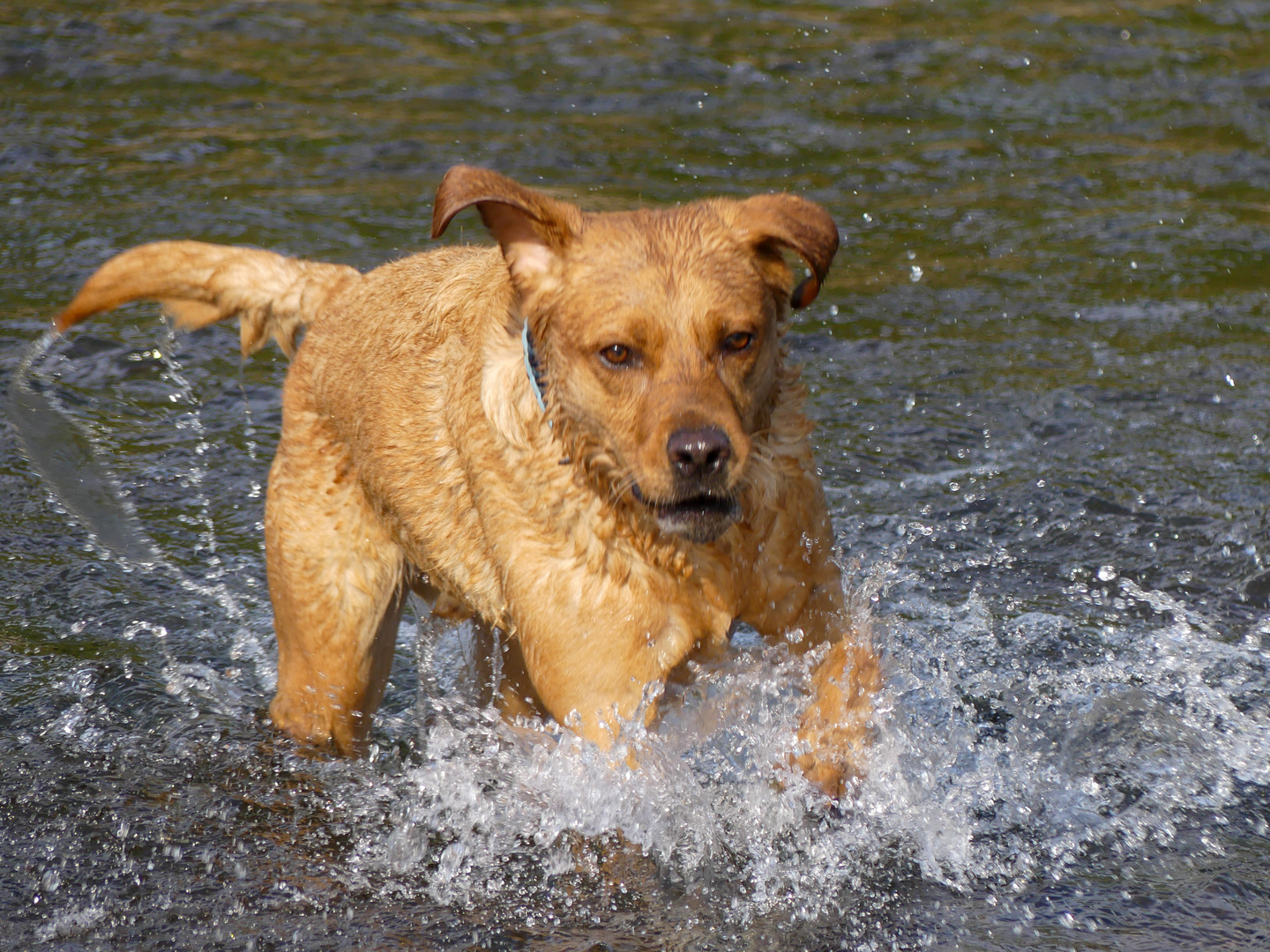 Wasserfreuden