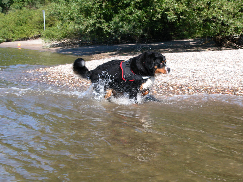 Wasserfreuden