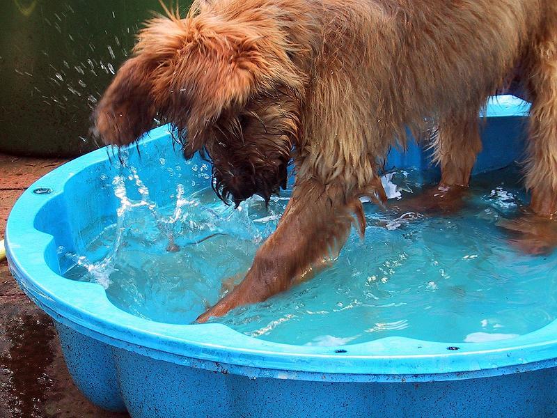 Wasserfreunden