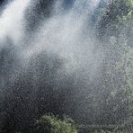 WASSERFRONT IM QUADRAT