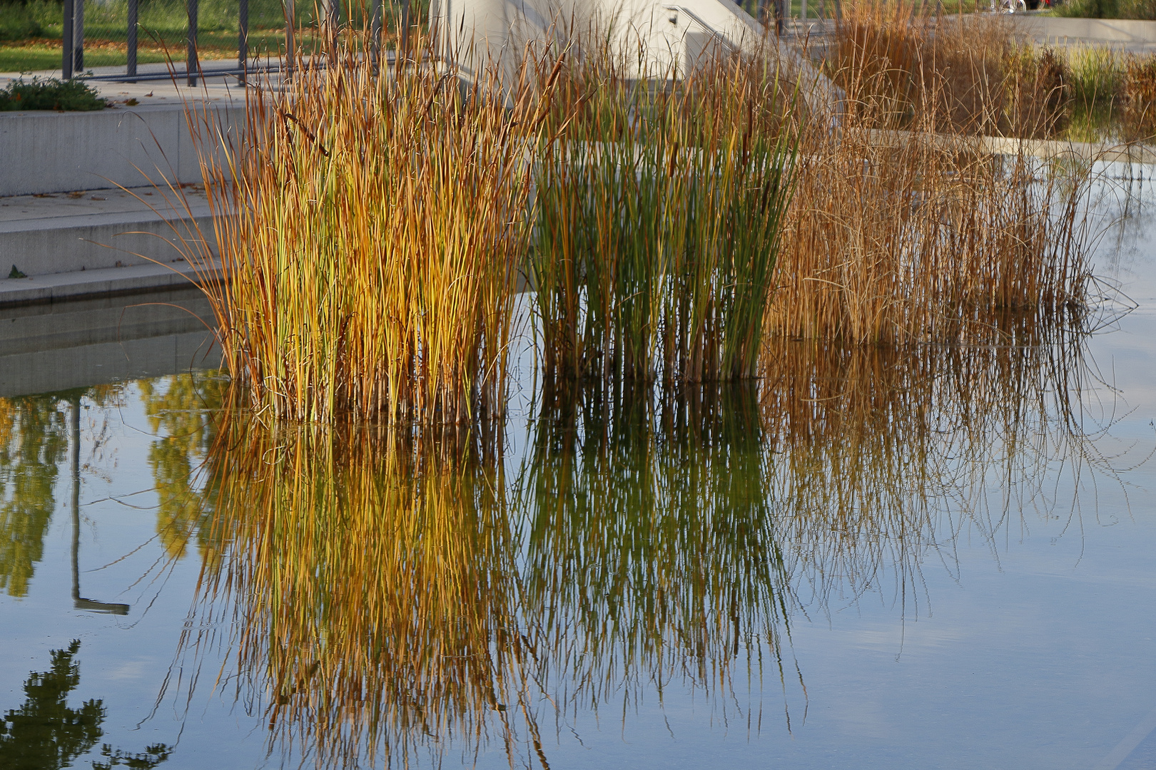 Wassergärten