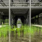 Wassergärten im stillgelegten Bergwerk Reden