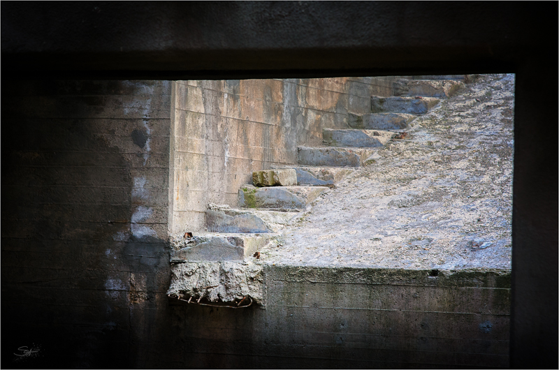 Wassergarten [04] – Stairway to Nowhere