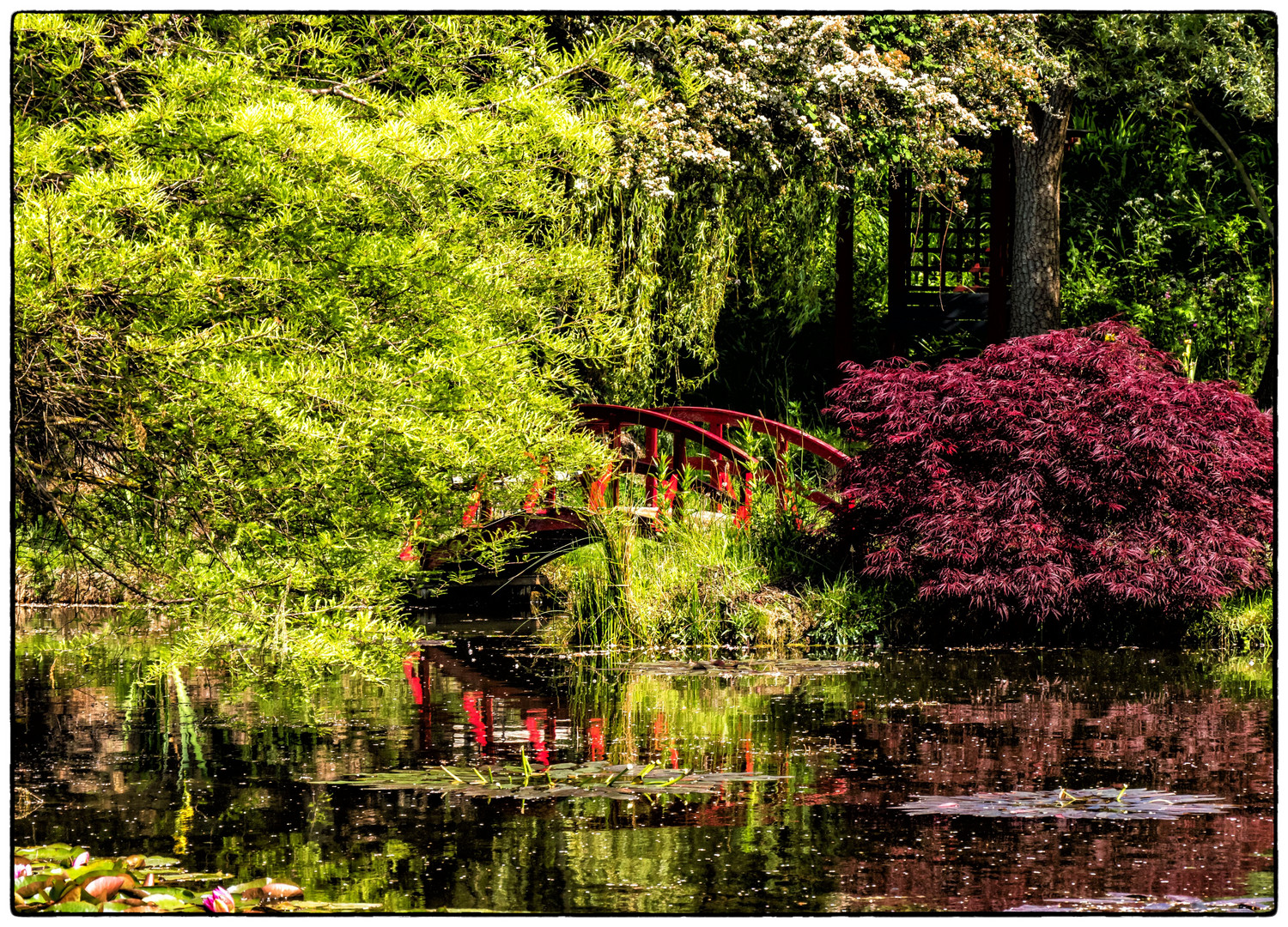 Wassergarten