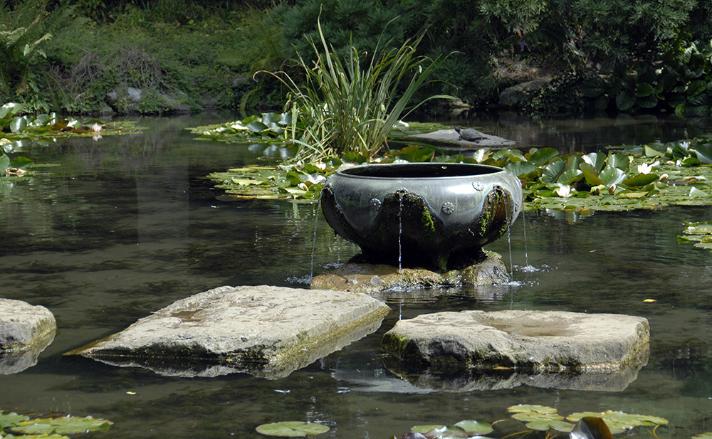 Wassergarten