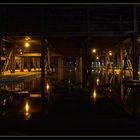 Wassergarten bei Nacht