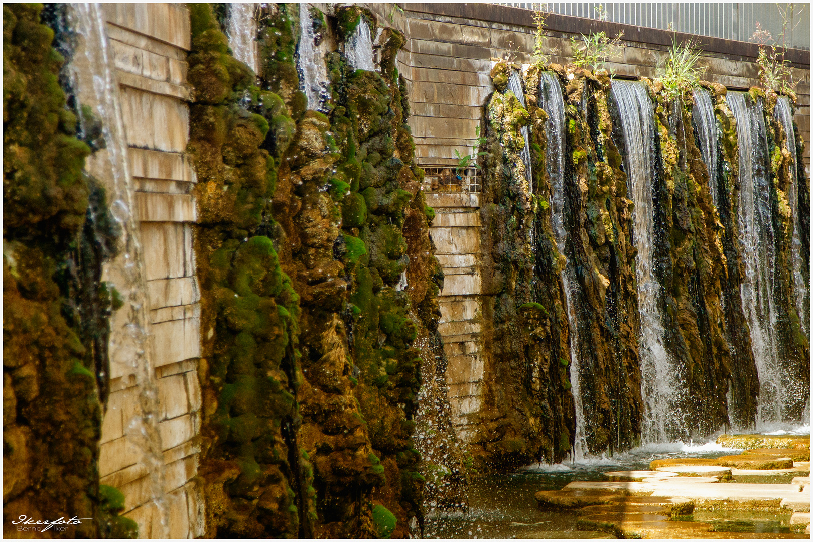 Wassergarten