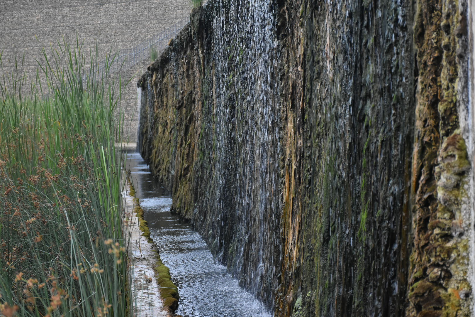 Wassergarten Landsweiler 3