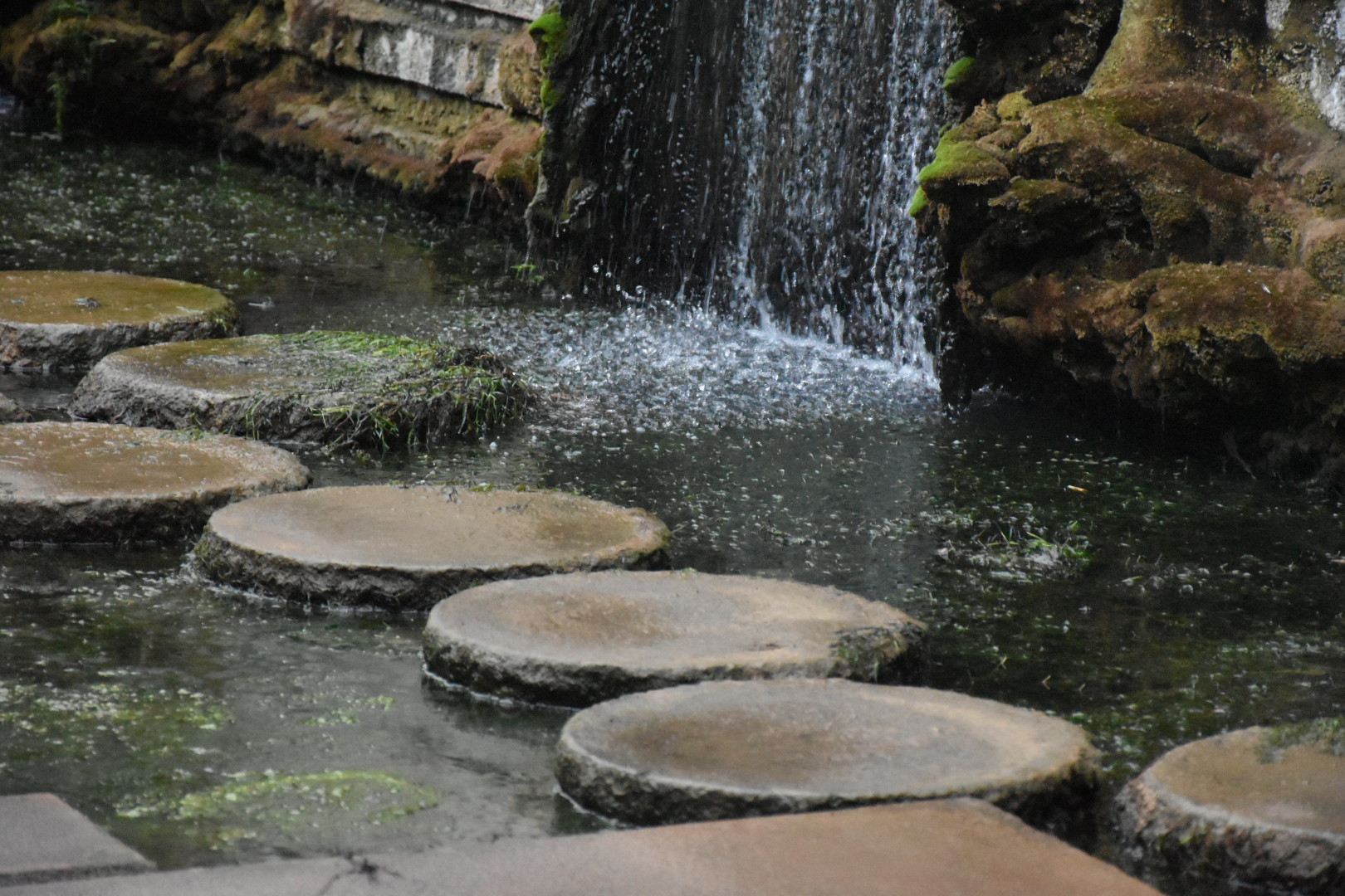 Wassergarten Landsweilet