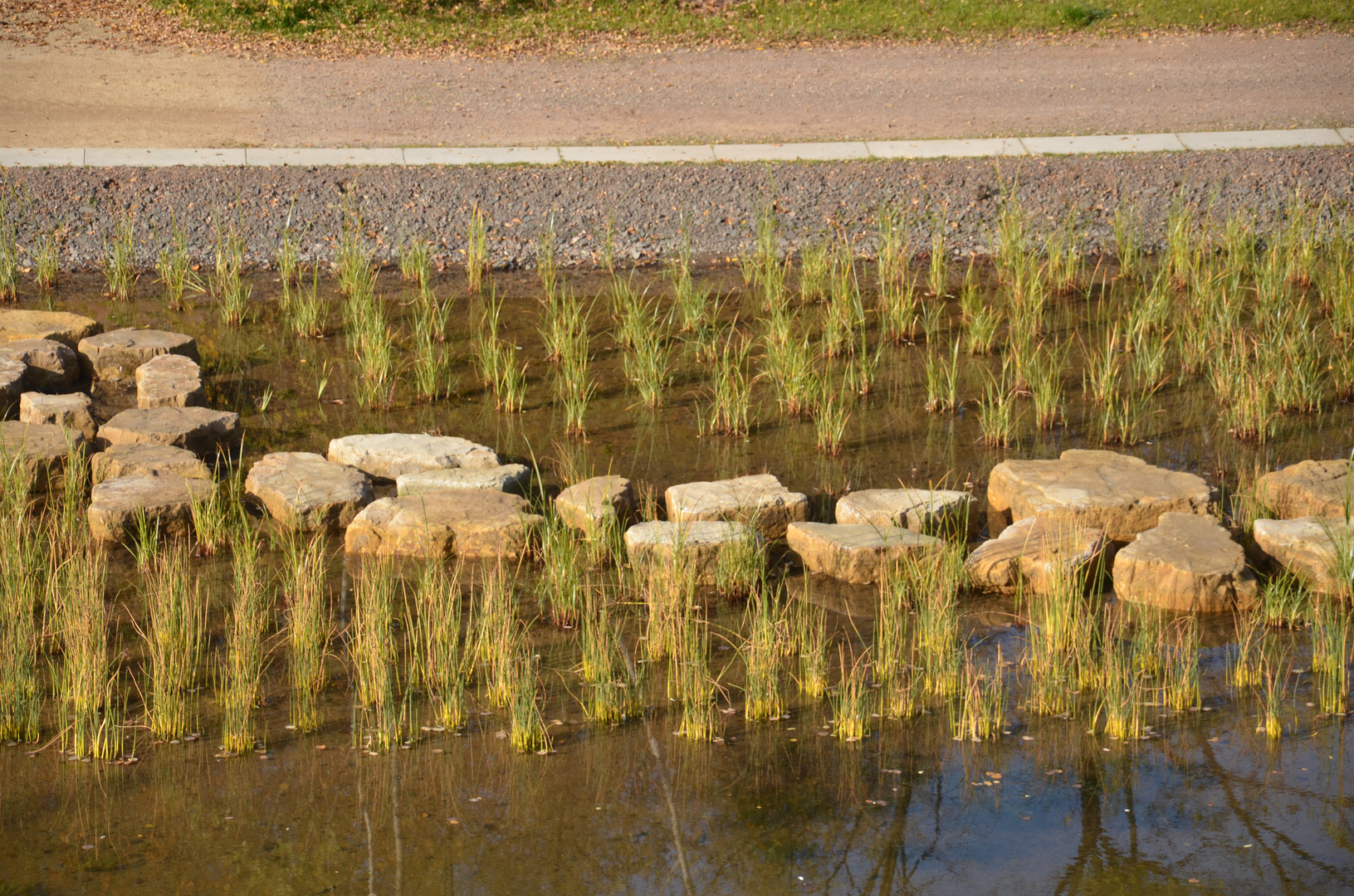 Wassergarten Reden