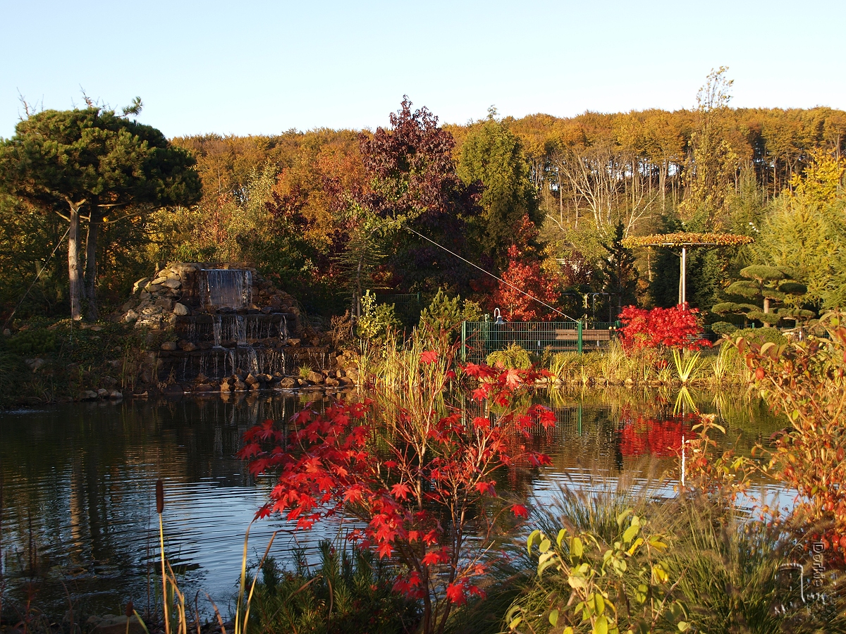 Wassergarten Währentrup