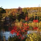 Wassergarten Währentrup