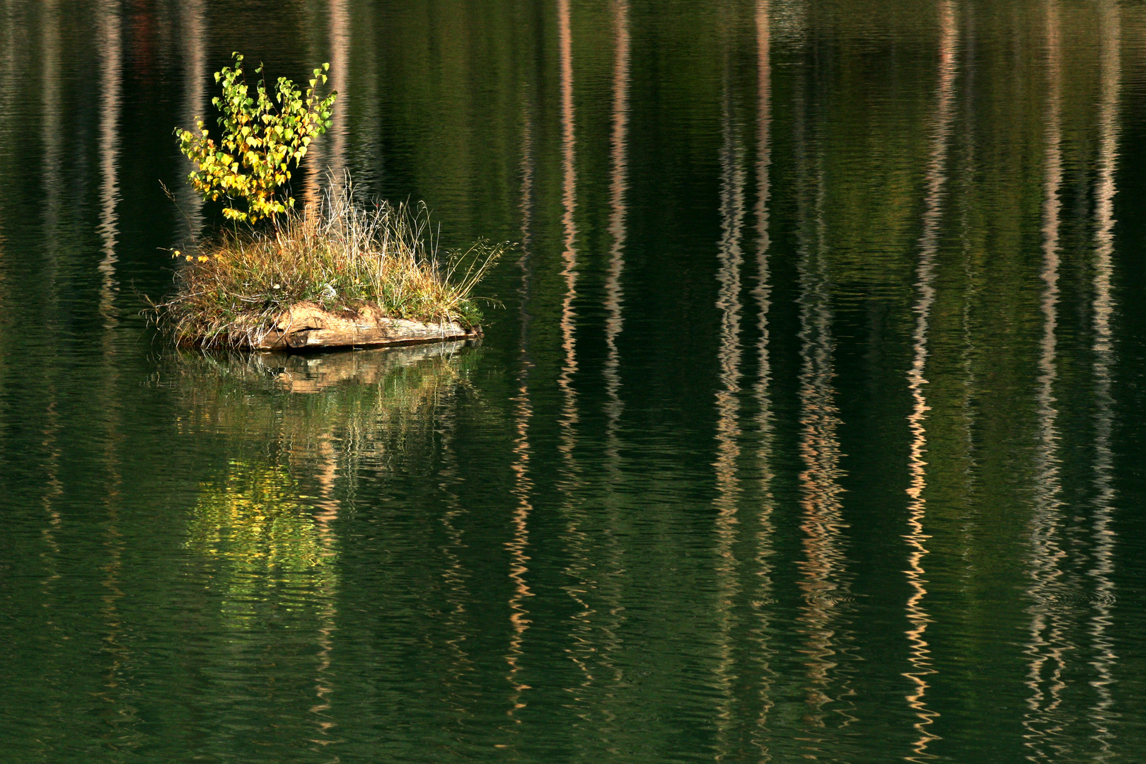 Wassergeister im Völser Weiher