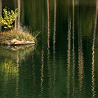 Wassergeister im Völser Weiher