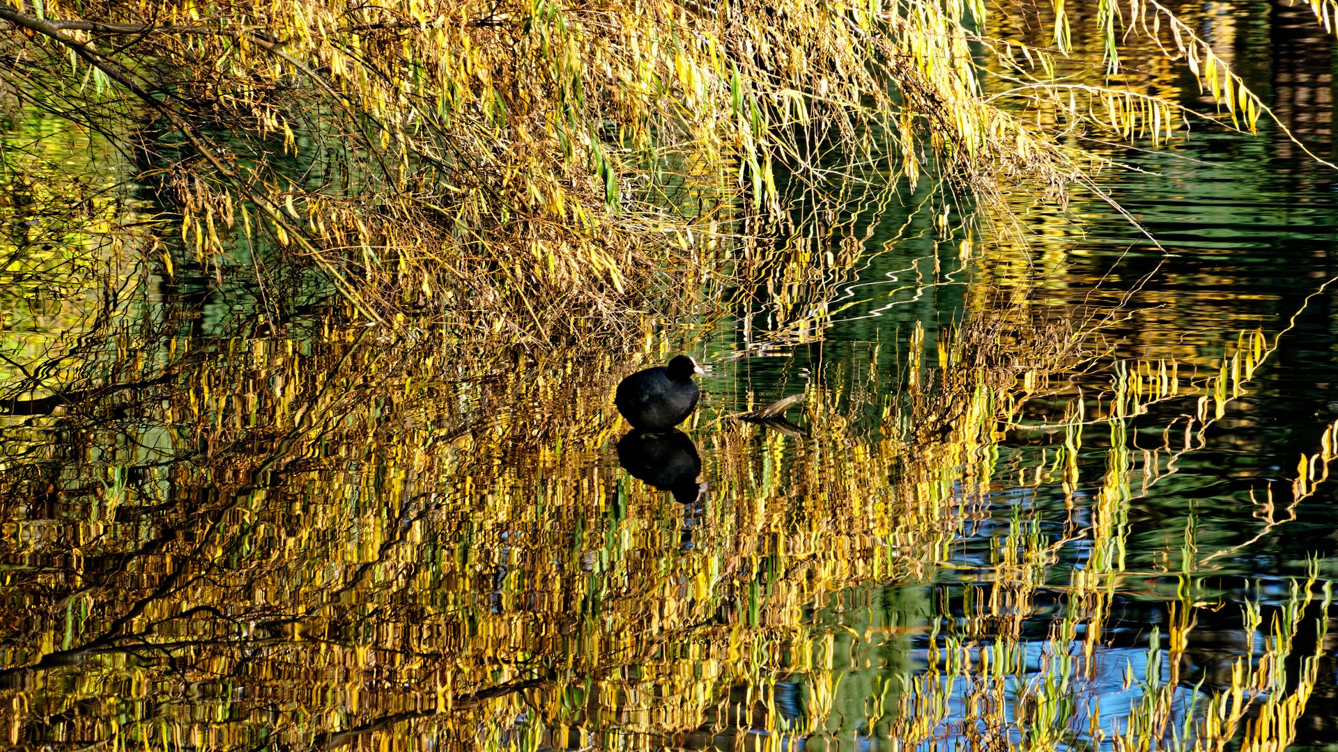 Wassergemälde mit Vogel