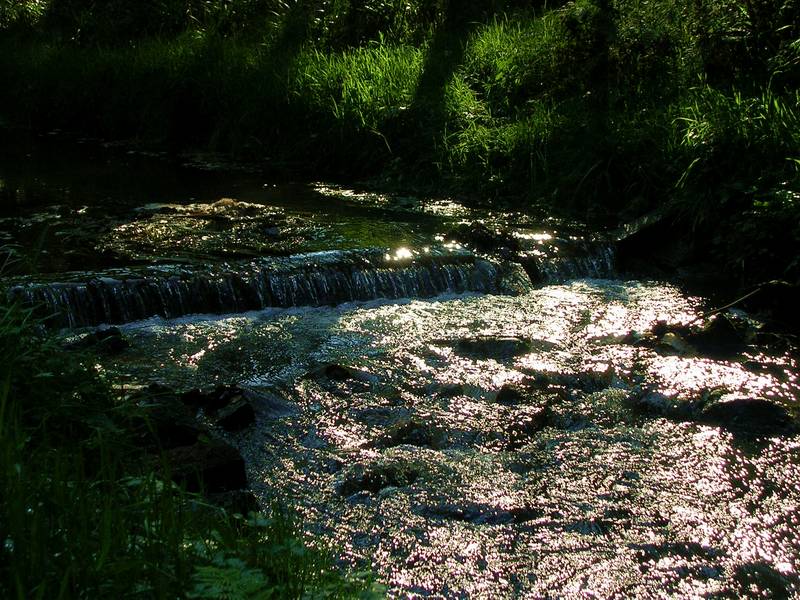 Wasserglitzer