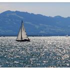 Wasserglitzern im Bodensee