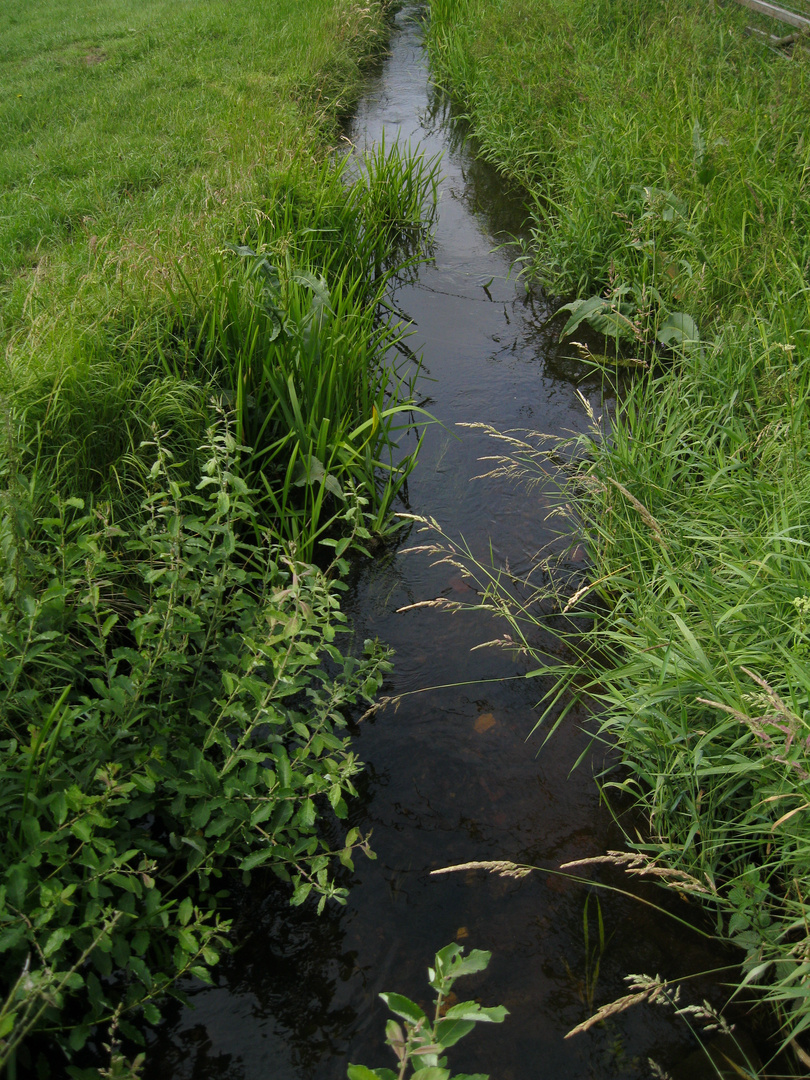 Wassergraben