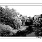 Wassergraben am Schloss Bleckede