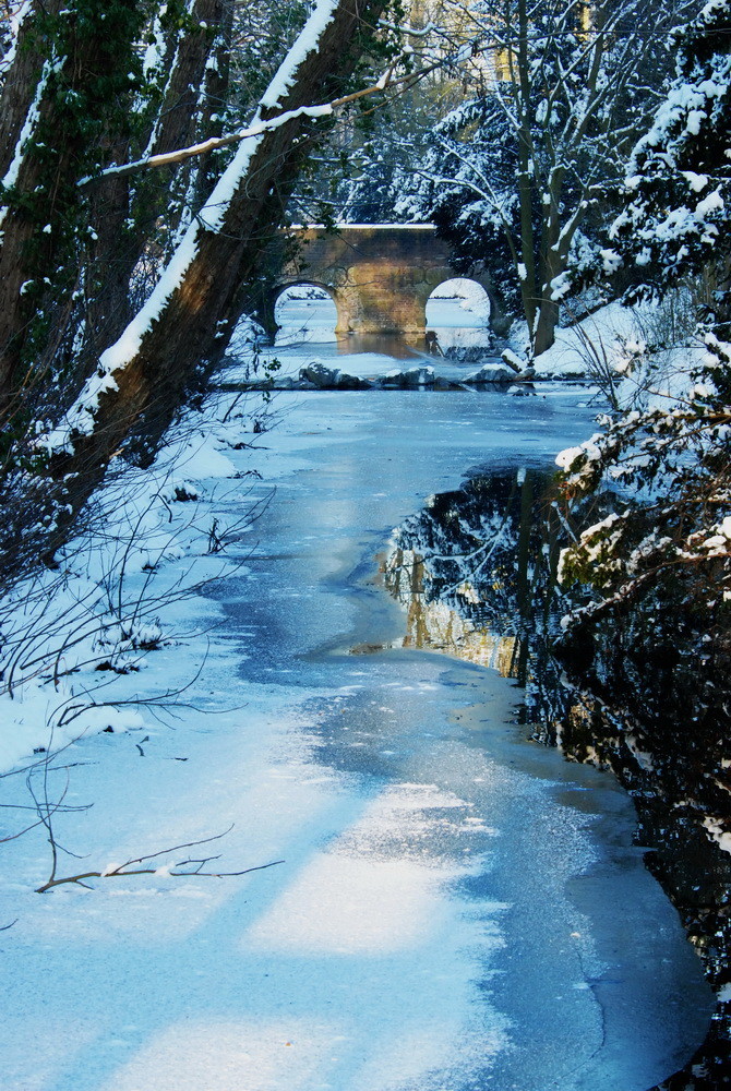 Wassergraben am Schloß Krickenbeck