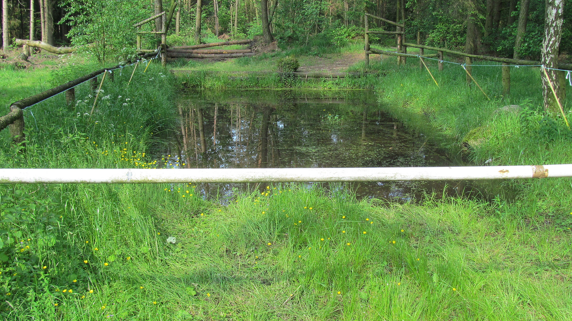 Wassergraben für das Pferde - Turnier !