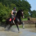 Wassergraben Vielseitigkeitstraining